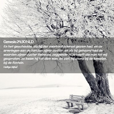 Picture 02 - Genesis 24:30 NLD - En het geschiedde, als hij dat voorhoofdsiersel - Bible Verse Picture