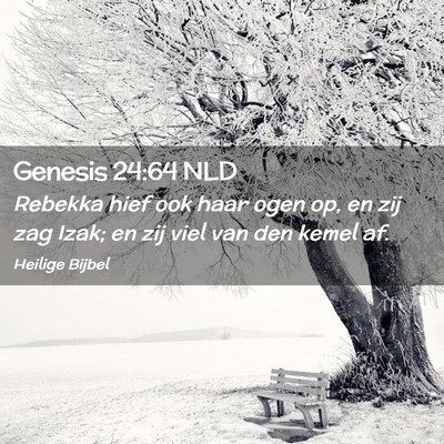 Picture 02 - Genesis 24:64 NLD - Rebekka hief ook haar ogen op, en zij zag Izak; - Bible Verse Picture
