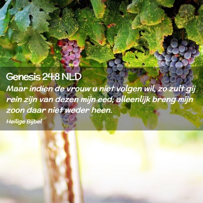 Picture 02 - Genesis 24:8 NLD - Maar indien de vrouw u niet volgen wil, zo zult - Bible Verse Picture