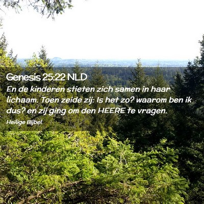 Picture 02 - Genesis 25:22 NLD - En de kinderen stieten zich samen in haar - Bible Verse Picture
