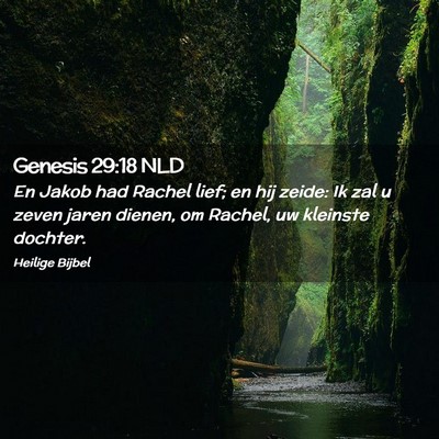 Picture 02 - Genesis 29:18 NLD - En Jakob had Rachel lief; en hij zeide: Ik zal u - Bible Verse Picture