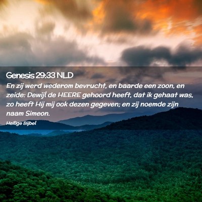 Picture 02 - Genesis 29:33 NLD - En zij werd wederom bevrucht, en baarde een zoon, - Bible Verse Picture