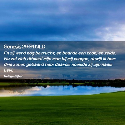 Picture 02 - Genesis 29:34 NLD - En zij werd nog bevrucht, en baarde een zoon, en - Bible Verse Picture