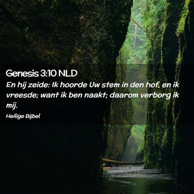 Picture 02 - Genesis 3:10 NLD - En hij zeide: Ik hoorde Uw stem in den hof, en ik - Bible Verse Picture