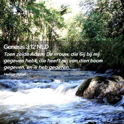 Picture 02 - Genesis 3:12 NLD - Toen zeide Adam: De vrouw, die Gij bij mij - Bible Verse Picture