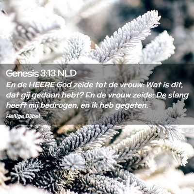 Picture 02 - Genesis 3:13 NLD - En de HEERE God zeide tot de vrouw: Wat is dit, - Bible Verse Picture