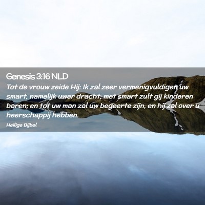 Picture 02 - Genesis 3:16 NLD - Tot de vrouw zeide Hij: Ik zal zeer - Bible Verse Picture