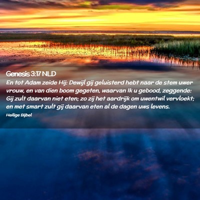 Picture 02 - Genesis 3:17 NLD - En tot Adam zeide Hij: Dewijl gij geluisterd hebt - Bible Verse Picture