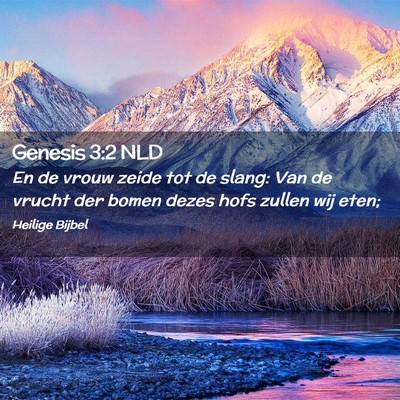Picture 02 - Genesis 3:2 NLD - En de vrouw zeide tot de slang: Van de vrucht der - Bible Verse Picture