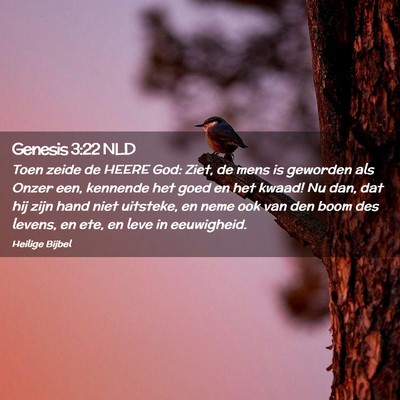 Picture 02 - Genesis 3:22 NLD - Toen zeide de HEERE God: Ziet, de mens is - Bible Verse Picture