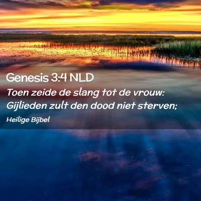 Picture 02 - Genesis 3:4 NLD - Toen zeide de slang tot de vrouw: Gijlieden zult - Bible Verse Picture