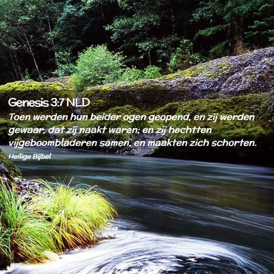 Picture 02 - Genesis 3:7 NLD - Toen werden hun beider ogen geopend, en zij - Bible Verse Picture