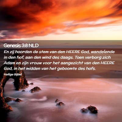 Picture 02 - Genesis 3:8 NLD - En zij hoorden de stem van den HEERE God, - Bible Verse Picture
