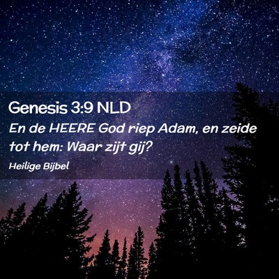 Picture 02 - Genesis 3:9 NLD - En de HEERE God riep Adam, en zeide tot hem: Waar - Bible Verse Picture