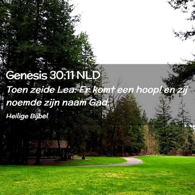 Picture 02 - Genesis 30:11 NLD - Toen zeide Lea: Er komt een hoop! en zij noemde - Bible Verse Picture