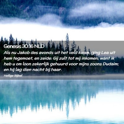Picture 02 - Genesis 30:16 NLD - Als nu Jakob des avonds uit het veld kwam, ging - Bible Verse Picture