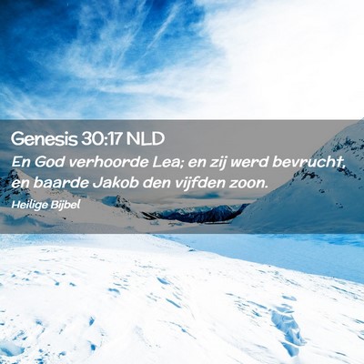 Picture 02 - Genesis 30:17 NLD - En God verhoorde Lea; en zij werd bevrucht, en - Bible Verse Picture