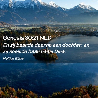 Picture 02 - Genesis 30:21 NLD - En zij baarde daarna een dochter; en zij noemde - Bible Verse Picture