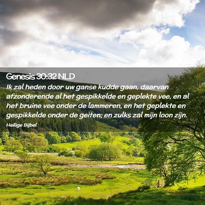 Picture 02 - Genesis 30:32 NLD - Ik zal heden door uw ganse kudde gaan, daarvan - Bible Verse Picture