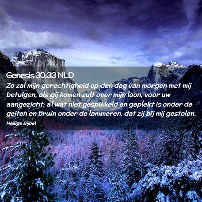 Picture 02 - Genesis 30:33 NLD - Zo zal mijn gerechtigheid op den dag van morgen - Bible Verse Picture