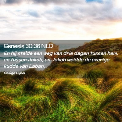Picture 02 - Genesis 30:36 NLD - En hij stelde een weg van drie dagen tussen hem, - Bible Verse Picture