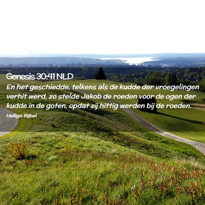Picture 02 - Genesis 30:41 NLD - En het geschiedde, telkens als de kudde der - Bible Verse Picture