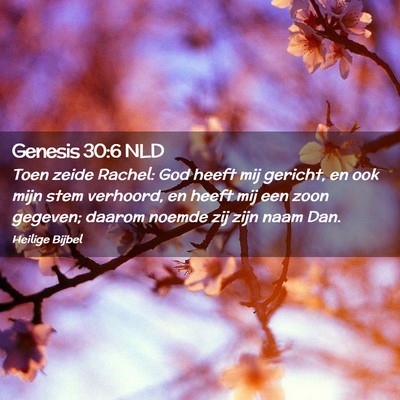 Picture 02 - Genesis 30:6 NLD - Toen zeide Rachel: God heeft mij gericht, en ook - Bible Verse Picture