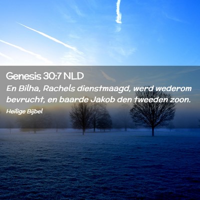 Picture 02 - Genesis 30:7 NLD - En Bilha, Rachels dienstmaagd, werd wederom - Bible Verse Picture