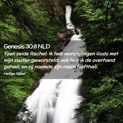 Picture 02 - Genesis 30:8 NLD - Toen zeide Rachel: Ik heb worstelingen Gods met - Bible Verse Picture