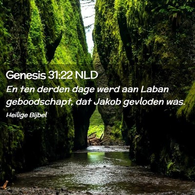 Picture 02 - Genesis 31:22 NLD - En ten derden dage werd aan Laban geboodschapt, - Bible Verse Picture