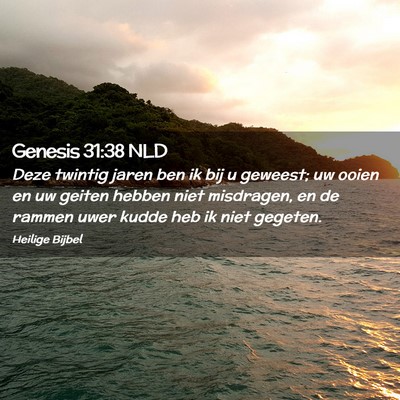 Picture 02 - Genesis 31:38 NLD - Deze twintig jaren ben ik bij u geweest; uw ooien - Bible Verse Picture