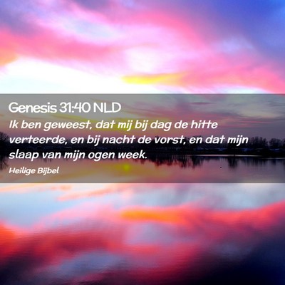 Picture 02 - Genesis 31:40 NLD - Ik ben geweest, dat mij bij dag de hitte - Bible Verse Picture