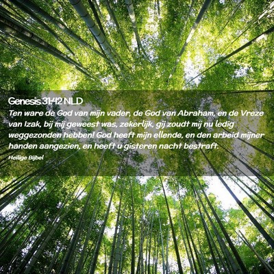 Picture 02 - Genesis 31:42 NLD - Ten ware de God van mijn vader, de God van - Bible Verse Picture