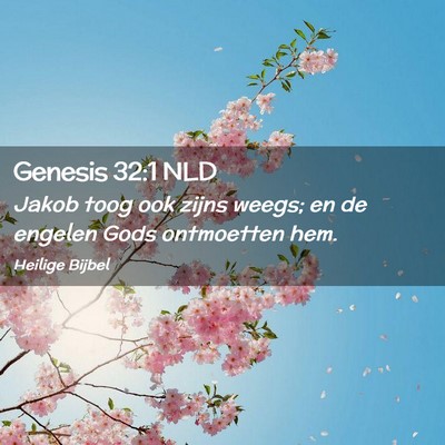 Picture 02 - Genesis 32:1 NLD - Jakob toog ook zijns weegs; en de engelen Gods - Bible Verse Picture