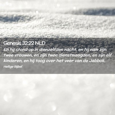 Picture 02 - Genesis 32:22 NLD - En hij stond op in dienzelfden nacht, en hij nam - Bible Verse Picture