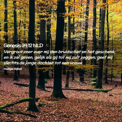 Picture 02 - Genesis 34:12 NLD - Vergroot zeer over mij den bruidschat en het - Bible Verse Picture
