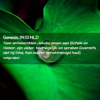 Picture 02 - Genesis 34:13 NLD - Toen antwoordden Jakobs zonen aan Sichem en - Bible Verse Picture