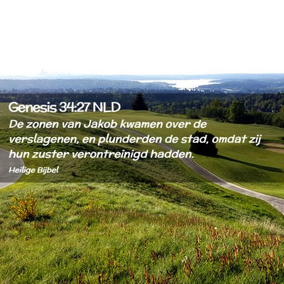 Picture 02 - Genesis 34:27 NLD - De zonen van Jakob kwamen over de verslagenen, en - Bible Verse Picture