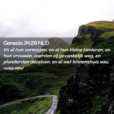Picture 02 - Genesis 34:29 NLD - En al hun vermogen, en al hun kleine kinderen, en - Bible Verse Picture