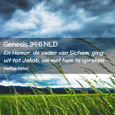 Picture 02 - Genesis 34:6 NLD - En Hemor, de vader van Sichem, ging uit tot - Bible Verse Picture