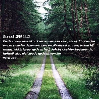 Picture 02 - Genesis 34:7 NLD - En de zonen van Jakob kwamen van het veld, als - Bible Verse Picture