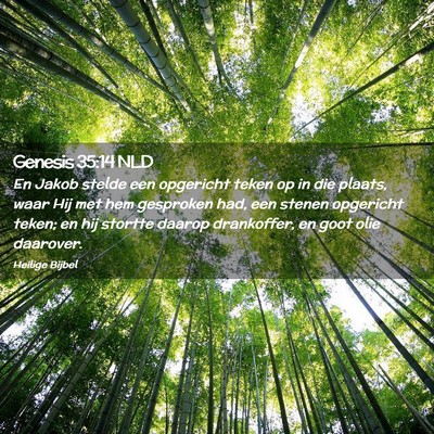 Picture 02 - Genesis 35:14 NLD - En Jakob stelde een opgericht teken op in die - Bible Verse Picture