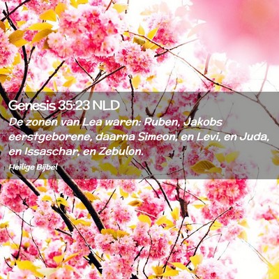 Picture 02 - Genesis 35:23 NLD - De zonen van Lea waren: Ruben, Jakobs - Bible Verse Picture