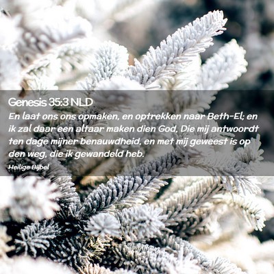 Picture 02 - Genesis 35:3 NLD - En laat ons ons opmaken, en optrekken naar - Bible Verse Picture