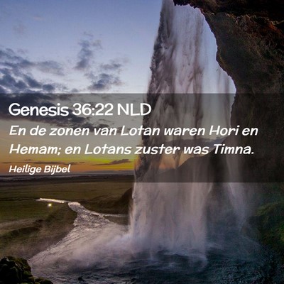 Picture 02 - Genesis 36:22 NLD - En de zonen van Lotan waren Hori en Hemam; en - Bible Verse Picture