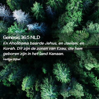 Picture 02 - Genesis 36:5 NLD - En Aholibama baarde Jehus, en Jaelam, en Korah. - Bible Verse Picture