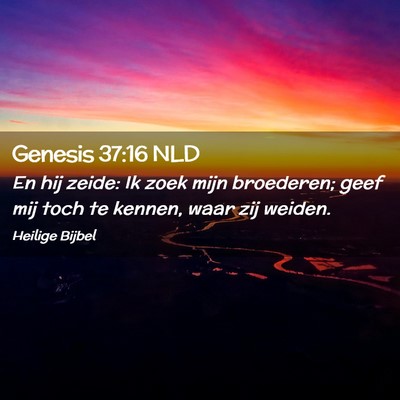 Picture 02 - Genesis 37:16 NLD - En hij zeide: Ik zoek mijn broederen; geef mij - Bible Verse Picture