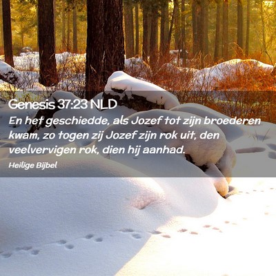 Picture 02 - Genesis 37:23 NLD - En het geschiedde, als Jozef tot zijn broederen - Bible Verse Picture