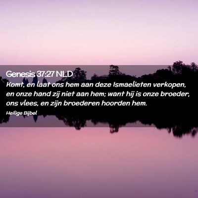 Picture 02 - Genesis 37:27 NLD - Komt, en laat ons hem aan deze Ismaelieten - Bible Verse Picture