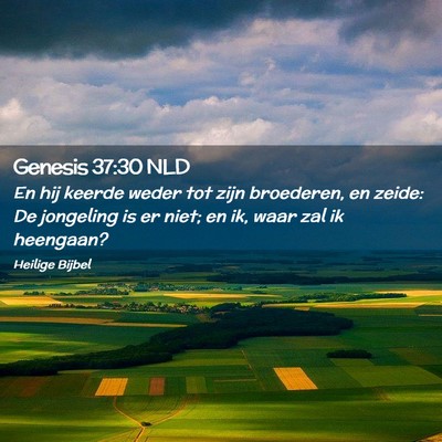 Picture 02 - Genesis 37:30 NLD - En hij keerde weder tot zijn broederen, en zeide: - Bible Verse Picture